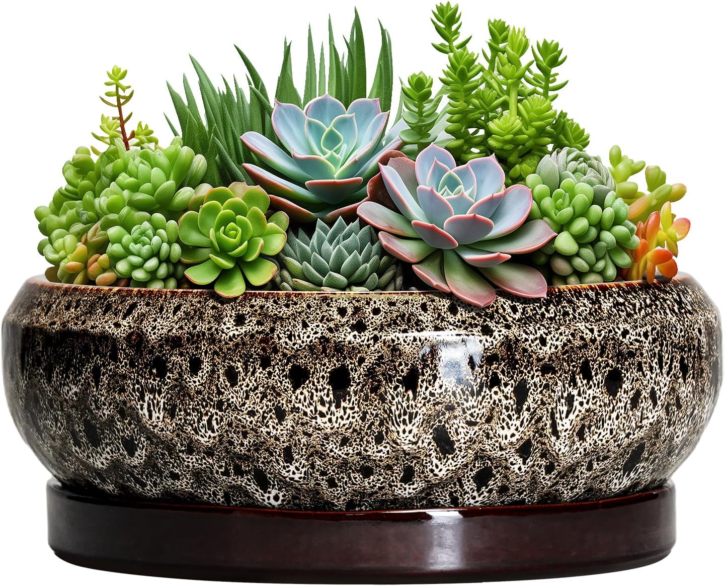 Succulent Pots 10 Inch - Ceramic Bonsai Pots with Drainage Hole and Tray, Large Succulent Planters, Shallow Planter Indoor, Round Planter Bowl, Window Decor, Gifts for Plant Lovers, White