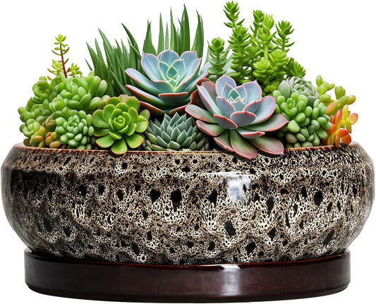 Succulent Pots 10 Inch - Ceramic Bonsai Pots with Drainage Hole and Tray, Large Succulent Planters, Shallow Planter Indoor, Round Planter Bowl, Window Decor, Gifts for Plant Lovers, White