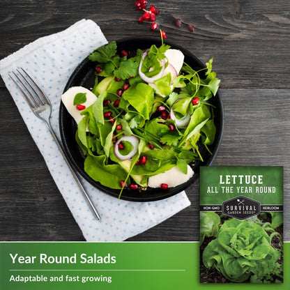 All The Year Round Lettuce Seed for Planting - 5 Packets with Instructions to Plant & Grow Adaptable Salad Greens in Your Home Vegetable Garden - Non-GMO Heirloom Variety - Survival Garden Seeds