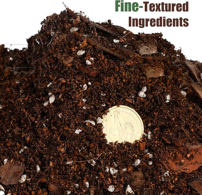 Organic Fiddle Leaf Fig Potting Mix 2qt, Indoor Plants Potting Mix for All Potted Ficus Lyrata Plant, Grow Healthy houseplants Indoors
