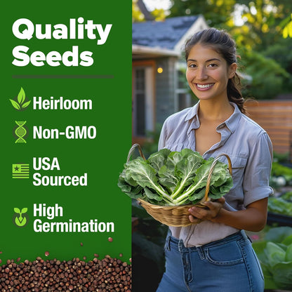 HOME GROWN Collard Green Seeds - 2 Pack - 600 Seeds for Fall Planting - High Germination 𝗡𝗢𝗡-𝗚𝗠𝗢 𝗨𝗦𝗔-𝗦𝗢𝗨𝗥𝗖𝗘𝗗 Heirloom Vegetable Seeds,Vates Collard Greens Seed Pack(Brassica oleracea)