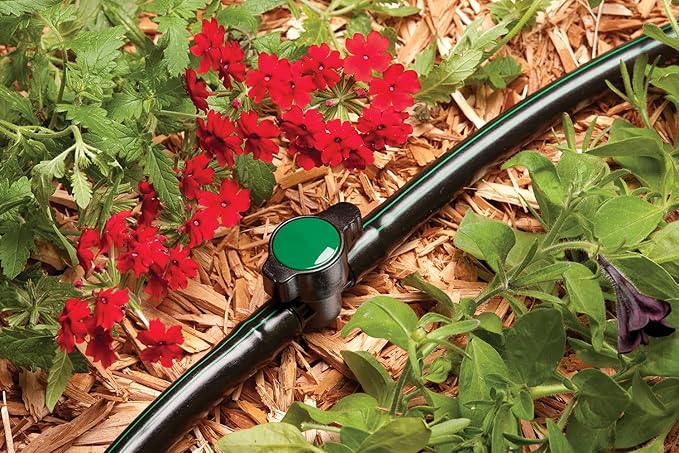 Rain Bird BVAL50-1S Drip Irrigation 1/2" Barbed Valve, Male x Male (Pack of 2)