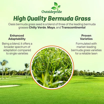 Outsidepride Oasis Bermuda Grass Seed - 25 lbs Warm Season, High Traffic, Heat Resistant, Drought-Tolerant, Low-Maintenance, Fast Growing Turf Grass for Lawn, Ideal for Sunny Areas, Thick Coverage