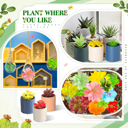WILLBOND 50 Pcs 50 Pcs Bulk Mini Artificial Succulents Plants Assorted Unpotted Realistic Plants Fake Textured Succulent Picks Realistic Plastic Cactus Stems for Garden Home Decor (Lovely Style)