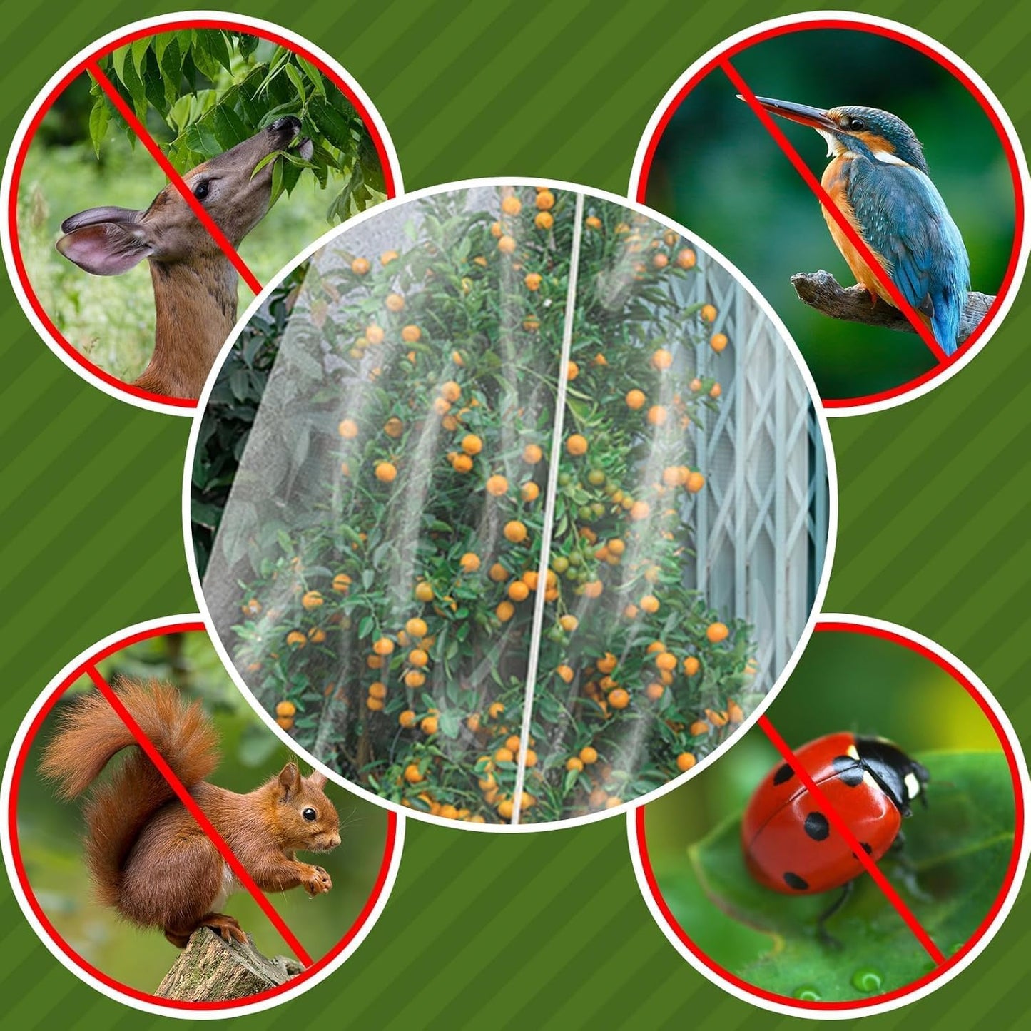 TWOWYHI 2Pack Garden Netting 6.6X8.2 Feet Large Fruit Tree Netting with Zipper and Drawstring Insect Bird Cover for Fruits Vegetables Tree Garden Protection