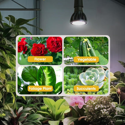 Briignite Grow Light Bulbs, 10W Plant Light Bulb, 150W Equivalent, High PPFD, PAR20 Full Spectrum Grow Bulb, E26 Base, LED Grow Lights for Indoor Plants, Seed Starting, 1 Pack