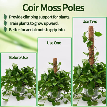8 Pcs Moss Pole for Plants Monstera, Plant Support Stakes for Indoor Climbing Plants Grow Upwards, with 65ft Twist Ties, 13ft Jute Rope, 6.5ft Hook-and-Loop Strip