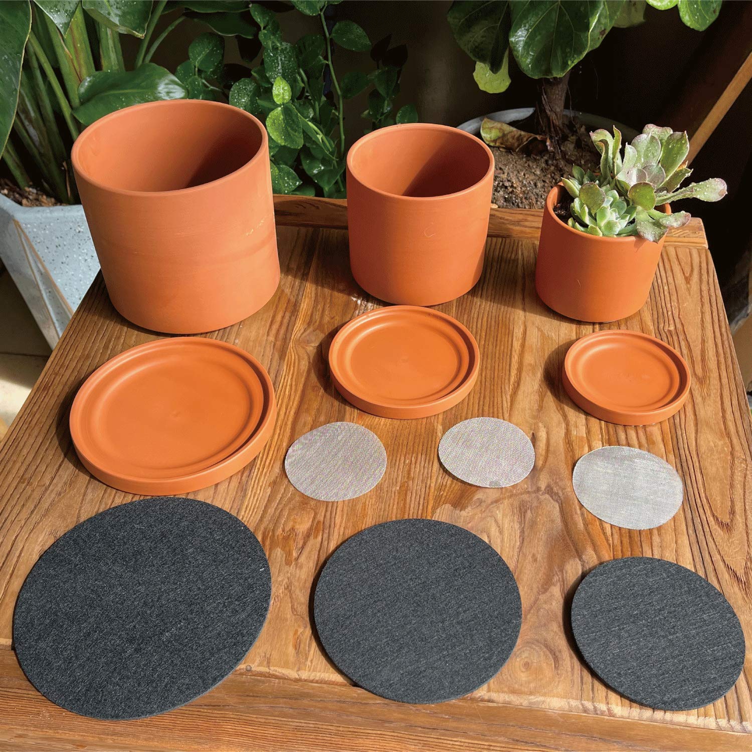 D'vine Dev 3-Pack Classic Terracotta Pots & Saucers, 4/5/6 in, 40-T-A-0
