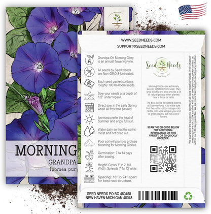 Seed Needs, Grandpa OTT Morning Glory Seeds - 100 Heirloom Seeds for Planting Ipomea purpurea - Annual Blue/Violet Blooms, Flowering Vine for a Natural Privacy Fence (1 Pack)