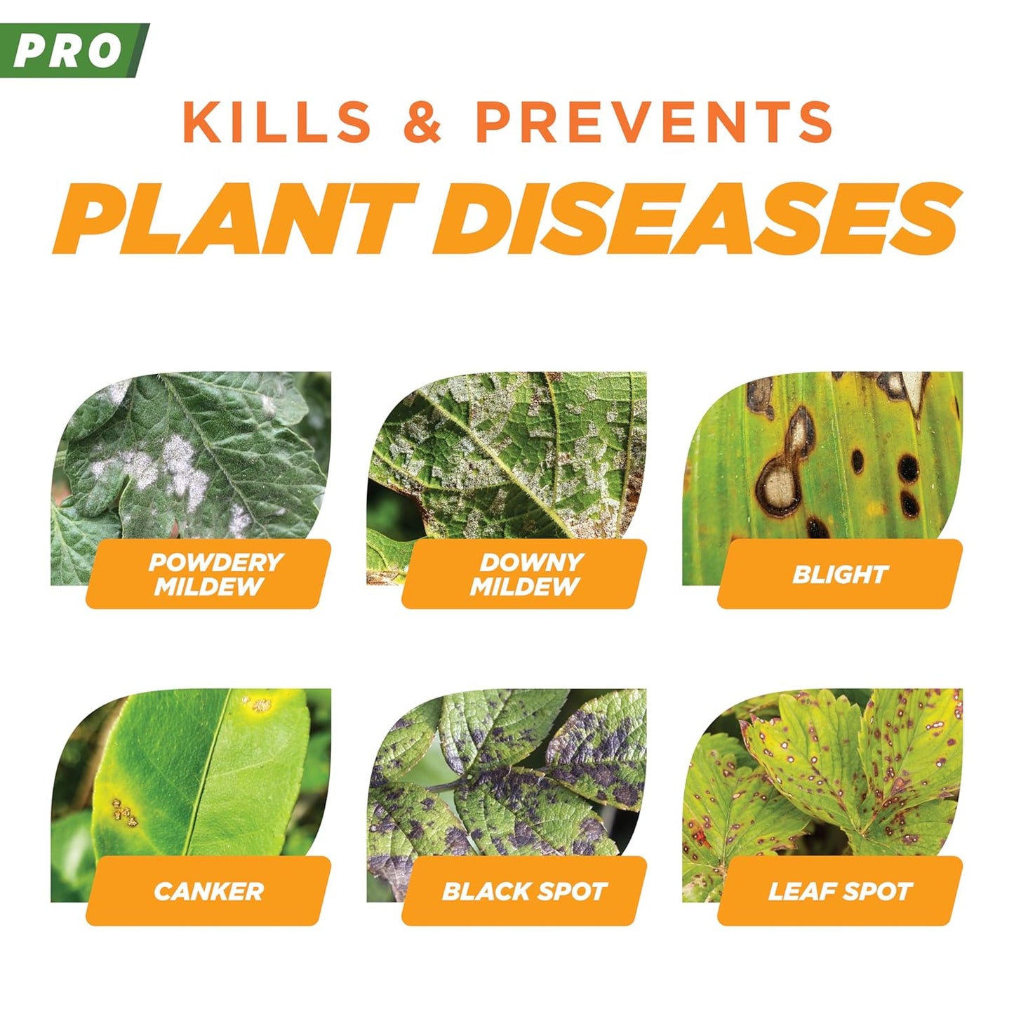 Earth's Ally Pro Disease Control Concentrate 2.5 gal. | Makes Up to 208 gals | Fungicide for Orchards, Food Crops, Ornamentals, Houseplants, Lawn & Turf