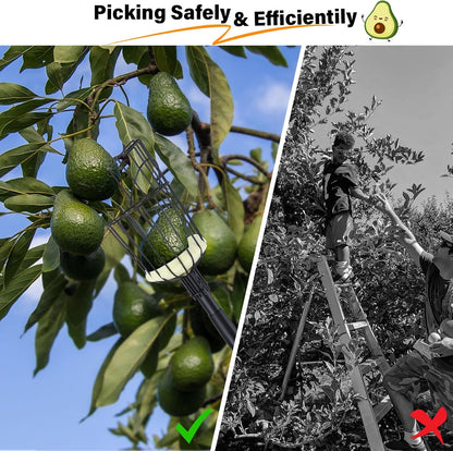 Fruit Picker Pole Tool with Basket, 9.6 FT (116 Inch) Adjustable Fruit Grabber Reacher Tool Long Handle Fruit Catcher for Apple Lemon Pear Citrus Mango Tree Gardening Supplies, Black