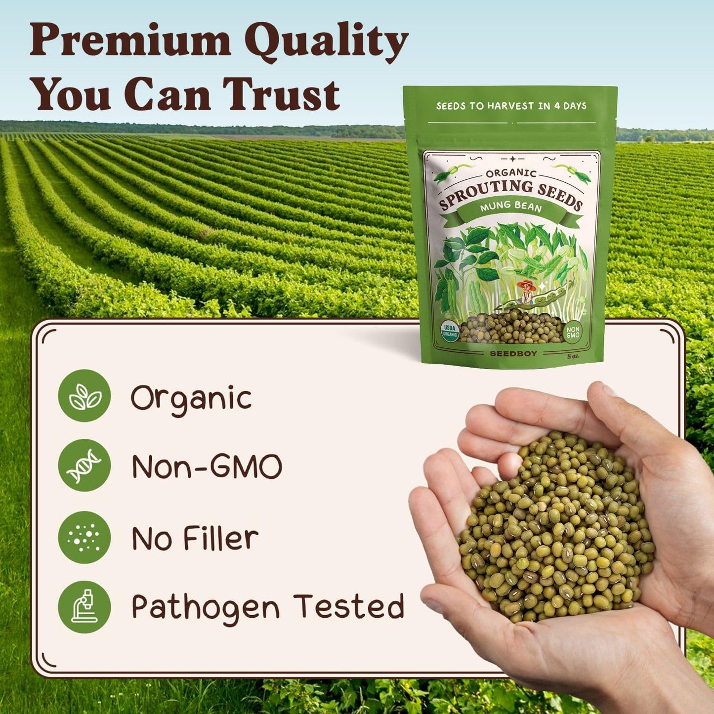 Seedboy Organic Non-GMO Mung Bean Seeds for Sprouting - Microgreens Sprouting Seeds - 8 oz Bag Makes 5 Quarts / 15 Servings (Mung Bean)