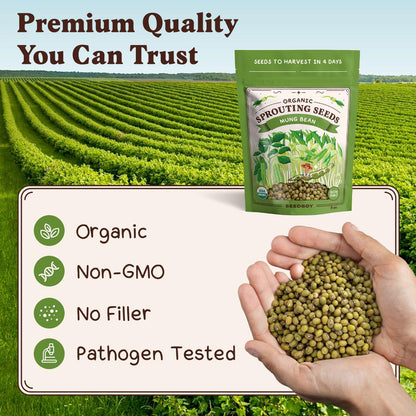 Seedboy Organic Non-GMO Mung Bean Seeds for Sprouting - Microgreens Sprouting Seeds - 8 oz Bag Makes 5 Quarts / 15 Servings (Mung Bean)