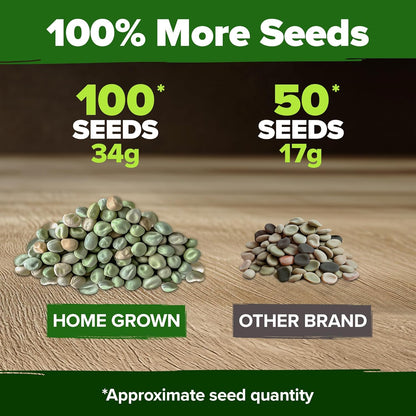 HOME GROWN - Snap Pea Seeds for Planting - Organic, Heirloom Cascadia Variety - 100 Non-GMO Vegetable Seeds - Cool Season Crop for Containers - Sweet Flavor, Fast Germination (Pisum sativum)