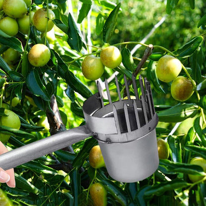 Fruit Picker Gardening Equipment Galvanized Iron Sturdy Easy to Use Portable Picking Tool Manual Agricultural Tool