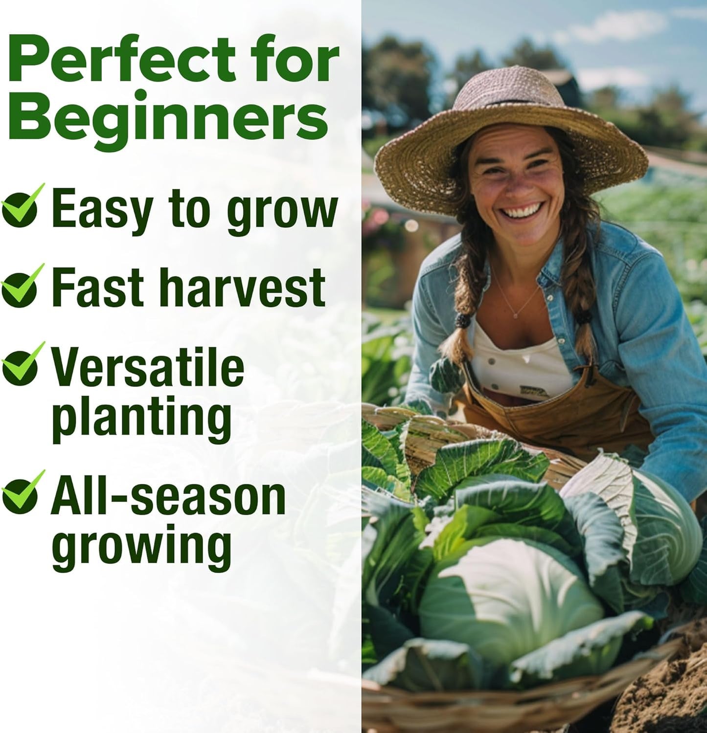 HOME GROWN 7 Cabbage Seeds for Planting - 2000+ Heirloom 𝗡𝗢𝗡-𝗚𝗠𝗢 𝗨𝗦𝗔 Seeds - Golden Acre,BokChoy,Savoy,Michihili, Red Acre, Copenhagen Market,Jersey Wakefield - Vegetable Seeds for Planting