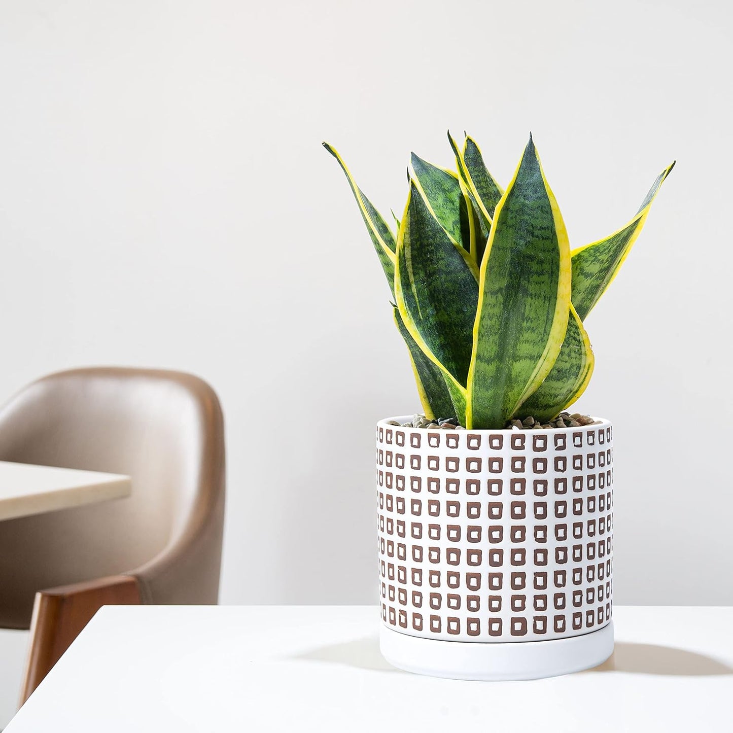D'vine Dev Set of 2 Ceramic Planter Pots with Drainage Hole and Saucer, 6 Inch Plant Pots for Plants Indoor Houseplants, White, 99-Z-A-1-Y