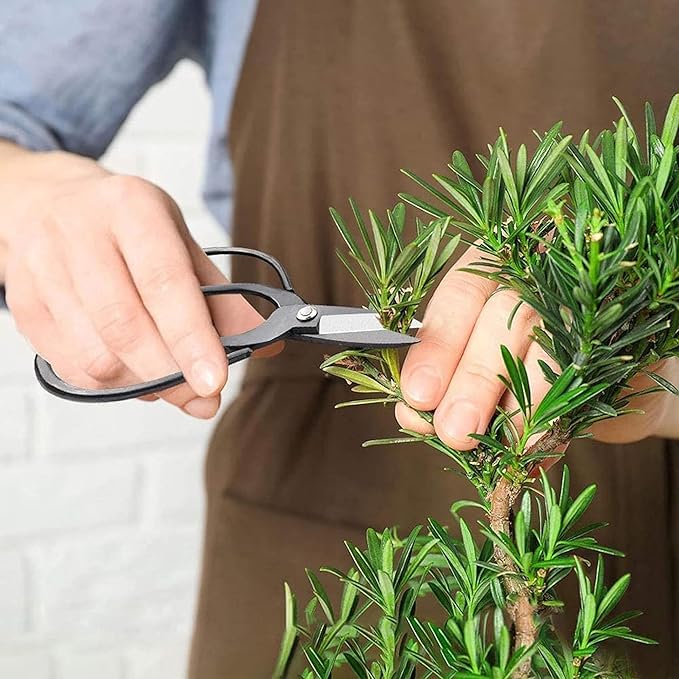 Professional Bonsai Scissors 7.3", Bonsai Shears for Gardening, Bonsai Pruning Shears for Arranging Flowers, 180mm Bonsai Clippers for Trimming Plants, Black
