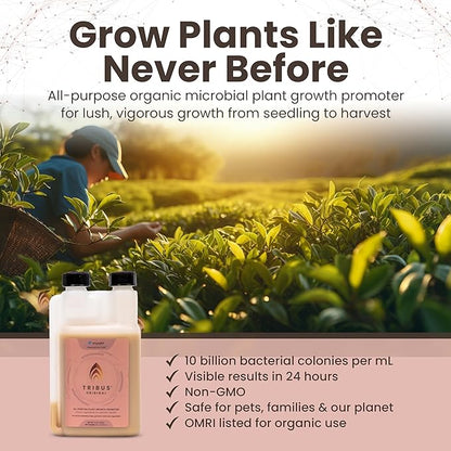 Tribus Organic Microbial Inoculant – Root Booster for Plants, Increases Plant Yield, Root Growth, Flower & Fruit Quality. Bloom Booster. Visible Root Growth in 24Hrs. Liquid Color May Vary. 8.5 oz