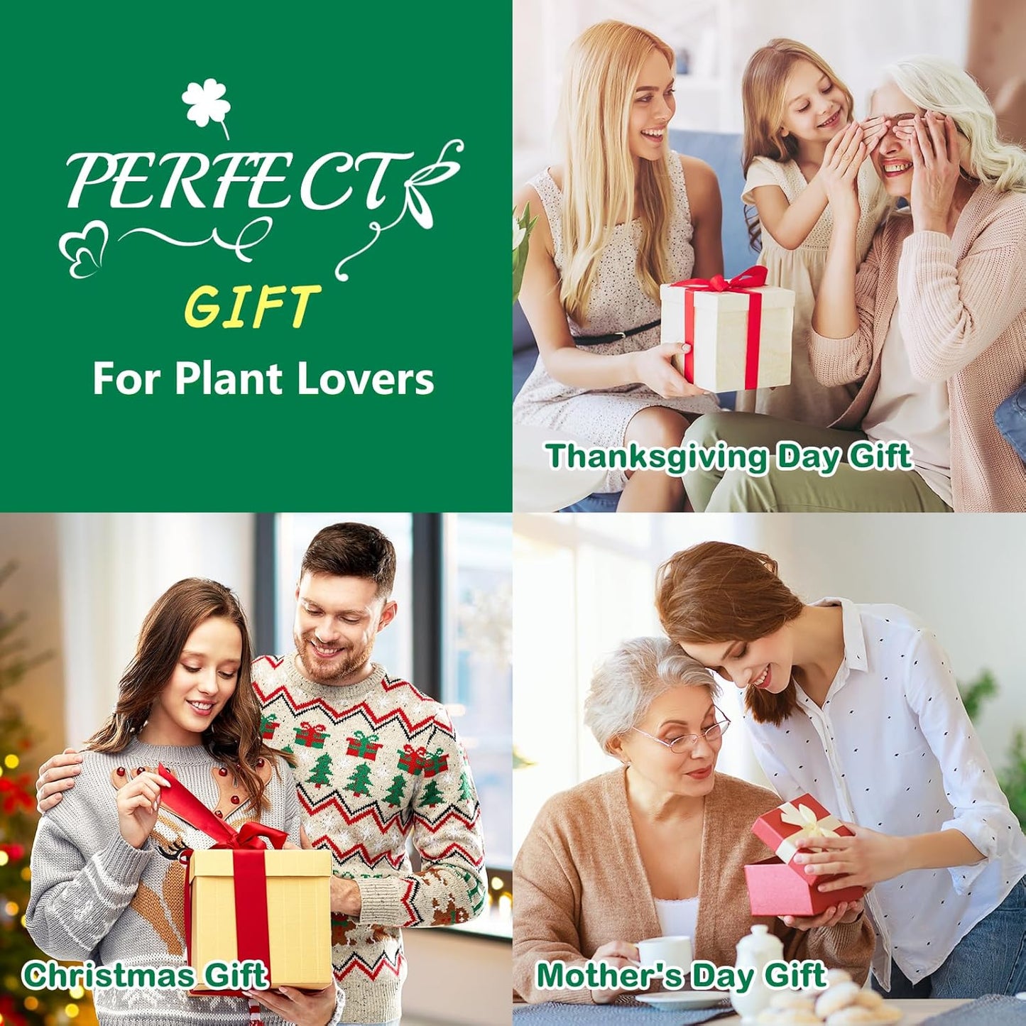 Bonsai Tree Kit, Complete Bonzai Tree Starter Kits with Tools, Unique DIY Gardening Gifts for Mom Women Men, Crafts Hobby Kits, Grow Bonsai Tree Live Indoor