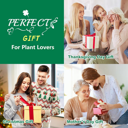 Bonsai Tree Kit, Complete Bonzai Tree Starter Kits with Tools, Unique DIY Gardening Gifts for Mom Women Men, Crafts Hobby Kits, Grow Bonsai Tree Live Indoor