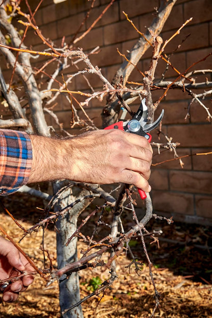 Corona BP 4180 Non-stick Steel Angled Bypass Hand Pruner - 5/8 inch Cut Capacity Stem and Branch Garden Shears, Red