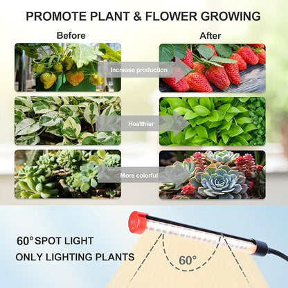 5-Head Table Top Grow Lights for Indoor Plants, Seed Starting, Bonsai with Timer, 45W Power Home Plug, FECiDA 2025 Full Spectrum Plant Growing Lamps, 16"-24" Height Adjustable
