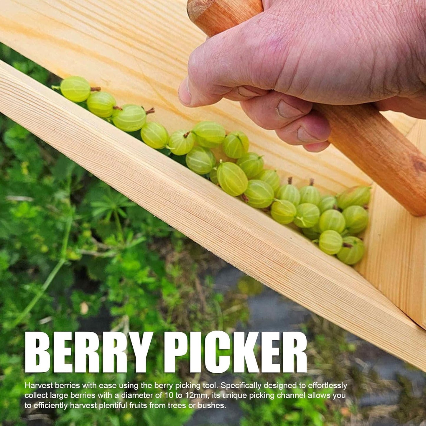MAVIS LAVEN Berry Picker Tool, Wooden Gooseberry Harvesting Scoop, Large Mouth Design Berrry Picking Tool