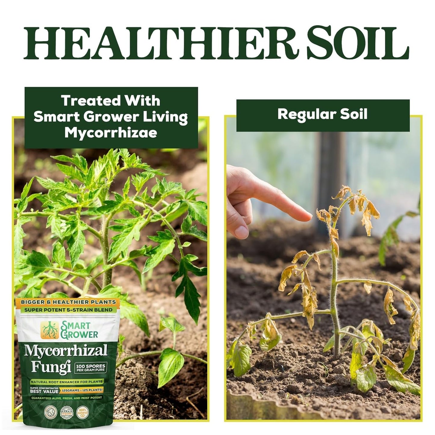 Mycorrhizal Fungi Organic Root Enhancer for Plants, Super Potent 100 Spores Per Gram, 5-Strain Blend, Rapid Results for Gardens, Houseplants, Lawns, Mycorrhizae Smart Grower 500 Grams for 500 Plants