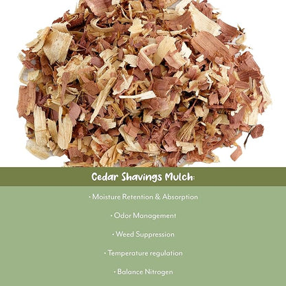 Natural Cedar Shavings Mulch/Bedding (12 Quarts), Garden Mulch and Small Animal Pet Bedding