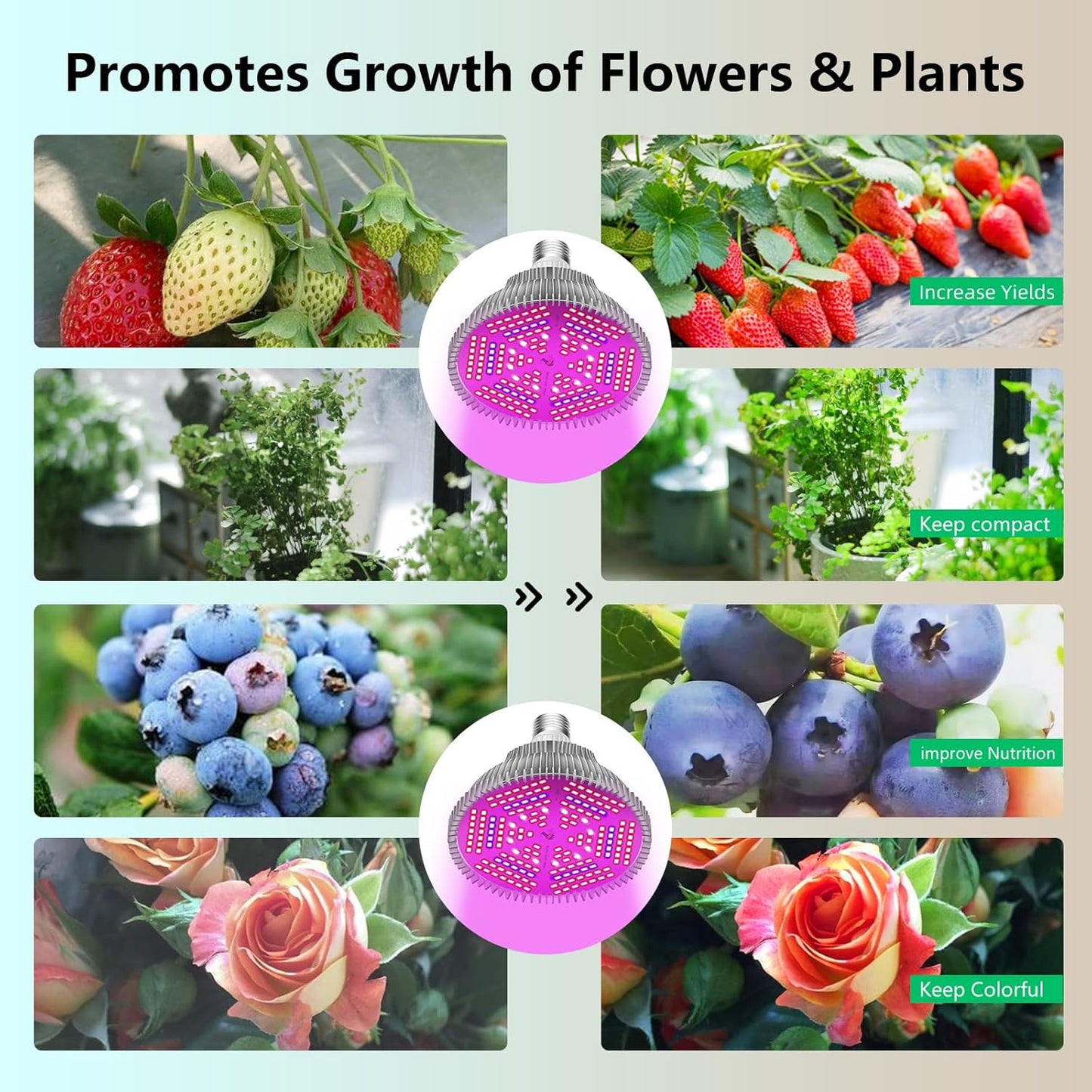 Intpro LED Grow Light Bulbs for Indoor Plants 2Pack, Plant Grow Light Bulb, Grow Bulb Full Spectrum E26 Base, Grow Light for Indoor Plants, Seed Starting