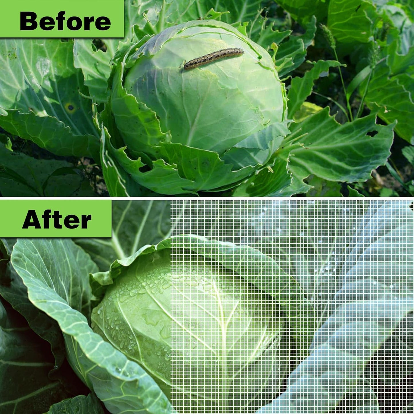 Garden Netting Ultra Fine 8x10Ft, Plant Covers, Barrier Mesh for Plant Vegetables Fruit Flower Tree, Row Cover Raised Bed Protection Net, Bird Screen