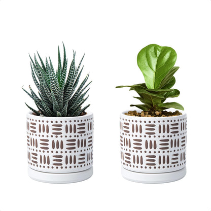 D'vine Dev Set of 2 Ceramic Planter Pots with Drainage Hole and Saucer, 4.5 Inch Plant Pots for Plants Indoor Houseplants, White, 99-Z-F-1-V