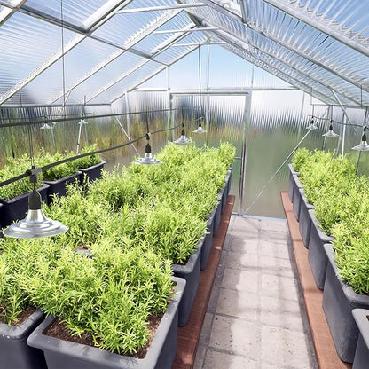 12-Light Outdoor LED Grow Lights – Waterproof Full Spectrum Greenhouse Lights for Plants, 41FT Adjustable String Lights with 576 LEDs, E26 Base Bulbs, IP44 Waterproof for Garden, Farm, Yard