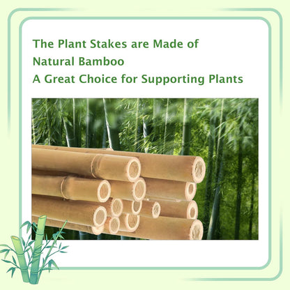 Bamboo Stakes 8FT, 8 Feet Natural Bamboo Plants Stakes, 1" D Thicker Heavy Duty Garden Stakes 10 Pack for Tomatoes, Beans, Flowers, Potted and More Climbing Plants