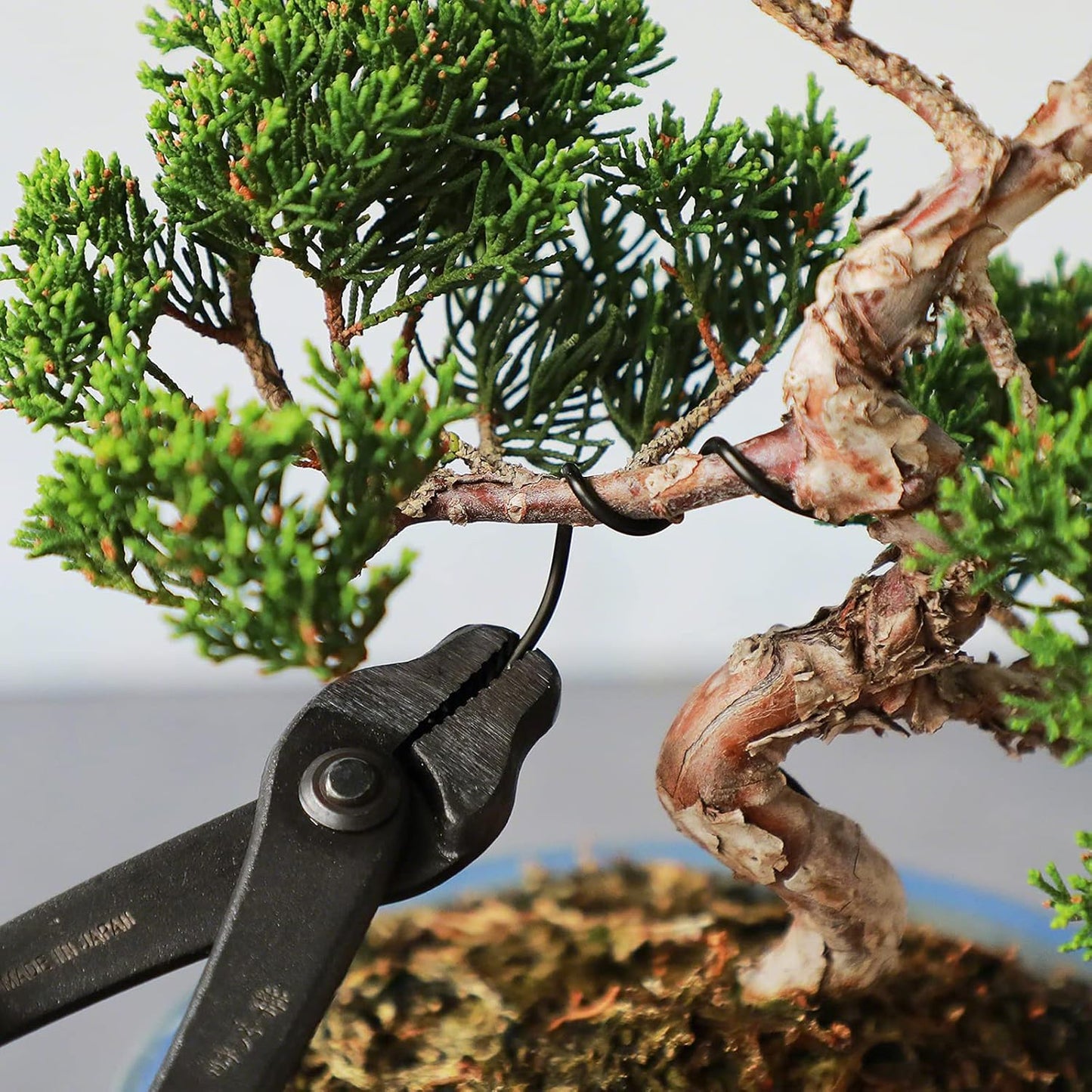 Wazakura 150 gr Black Anodized Aluminum Bonsai Training Wire Made in Japan (2.5 mm, Black)
