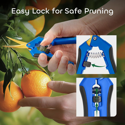 GROWNEER 3 Packs 6.5 Inch Pruning Shears with Curved Blades Trimming Scissors For Gardening Hand Pruning Snips Titanium Coated Precision Blades