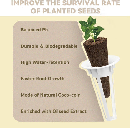 inbloom Passion Salsa Seed Pod Kit for AeroGarden, 12 Pods Hydroponic Supply with Vegetable Seeds of Red Chili,Green, Yellow, and Purple Bell Pepper, Red/Golden Cherry Tomato, Cucumber