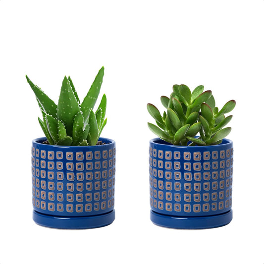 D'vine Dev Set of 2 Ceramic Planter Pots with Drainage Hole and Saucer, 4.5 Inch Plant Pots for Plants Indoor Houseplants, Blue, 99-Z-A-6-V