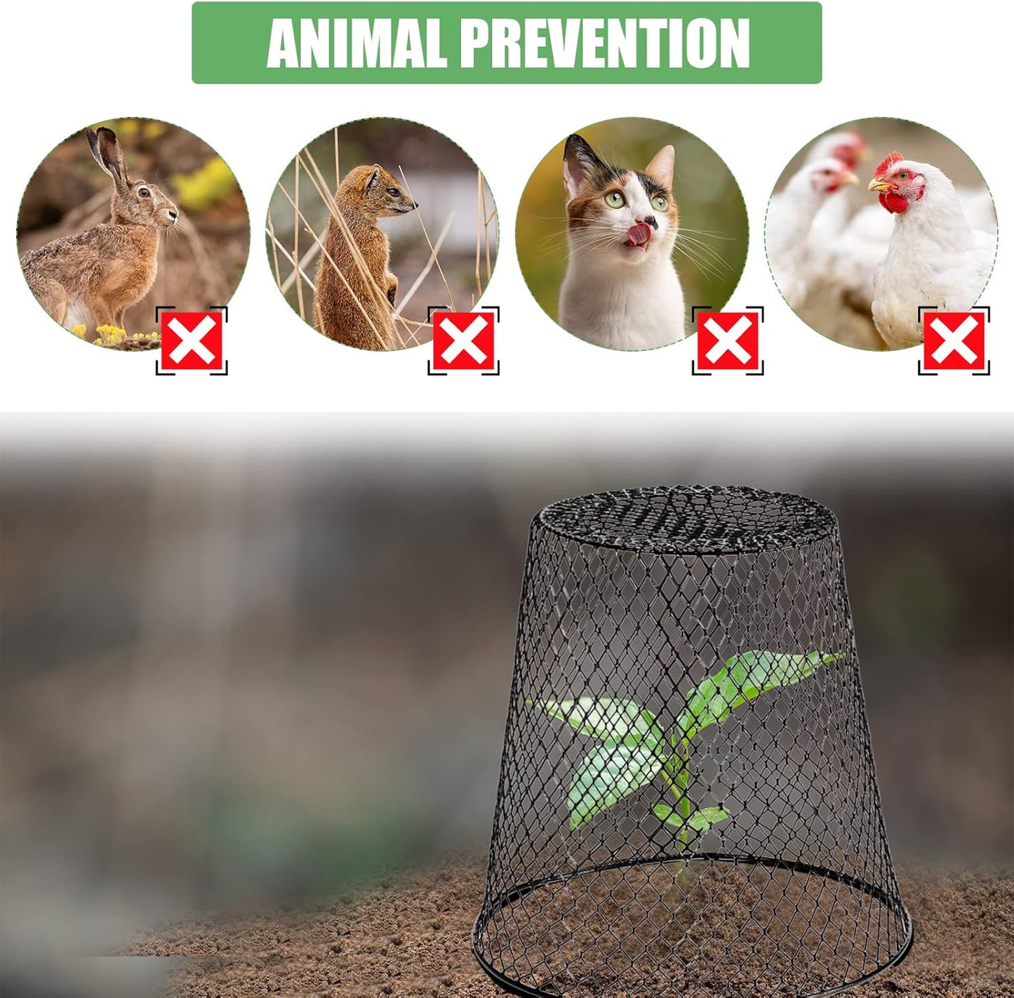 10 Pcs 8inch Chicken Wire Plant Covers Wire Garden Cloches Chicken Wire Cloche Plant Protector Metal Heavy Duty Garden Plant Cloche for Keeping Bunnies Chicken Squirrels Birds Other Out
