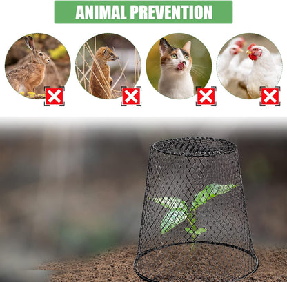 10 Pcs 8inch Chicken Wire Plant Covers Wire Garden Cloches Chicken Wire Cloche Plant Protector Metal Heavy Duty Garden Plant Cloche for Keeping Bunnies Chicken Squirrels Birds Other Out