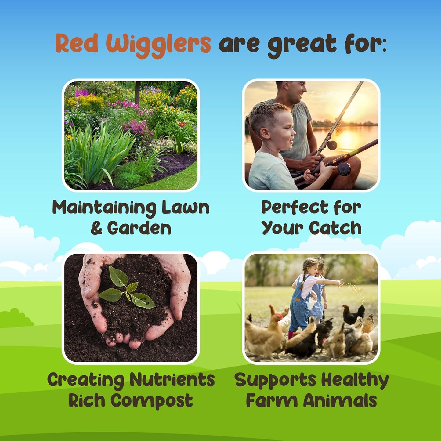 Red Wigglers Composting Worms - 1/2lb Red Worms for Composting Bin, for Plants or Gardening, Compost Worm for Soil Fertility & Worm Farm, Easy to Manage
