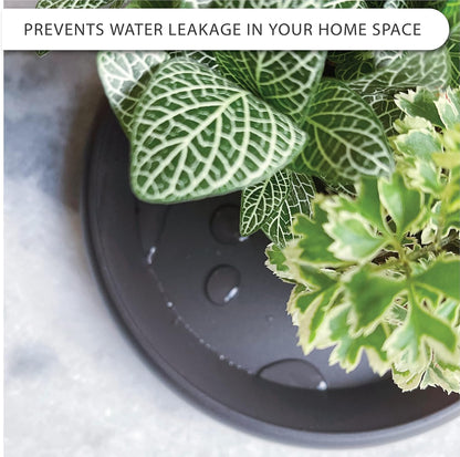 Plant Saucer 6 Pack Drip Trays Planter Pot Base Heavy Duty Plastic Drainage Tray for Indoor Houseplants Outdoor Garden 5 inch 8 inch 11 inch 3 Sizes 2 Each Round (Brownish Black)