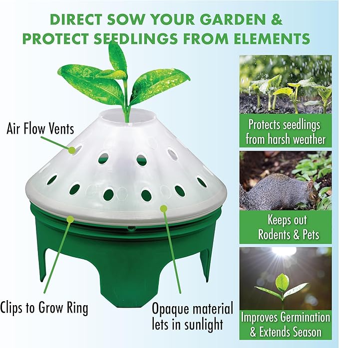 Beans Garden Kit with Grow Rings, Greenhouse Germination Domes, Seeds, Markers, Instructions – Gardening Gift for Mom, Teachers, Women, and Men – Made in USA