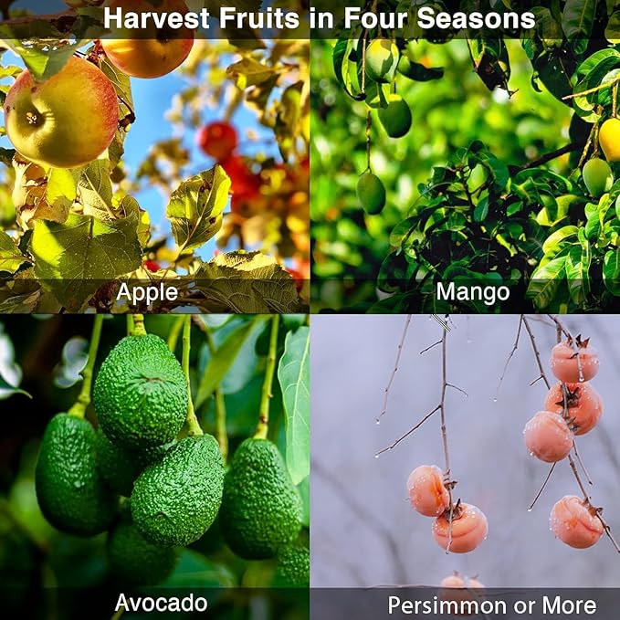 Fruit Picker Pole Tool with Basket Telescoping, Adjustable Apple Picker Pole 35-170 inch Long Handle, Mango Orange Avocado Fig Acorn Lemon Pear Pomelo Chery Picker for Tree