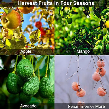 Fruit Picker Pole Tool with Basket Telescoping, Adjustable Apple Picker Pole 35-170 inch Long Handle, Mango Orange Avocado Fig Acorn Lemon Pear Pomelo Chery Picker for Tree