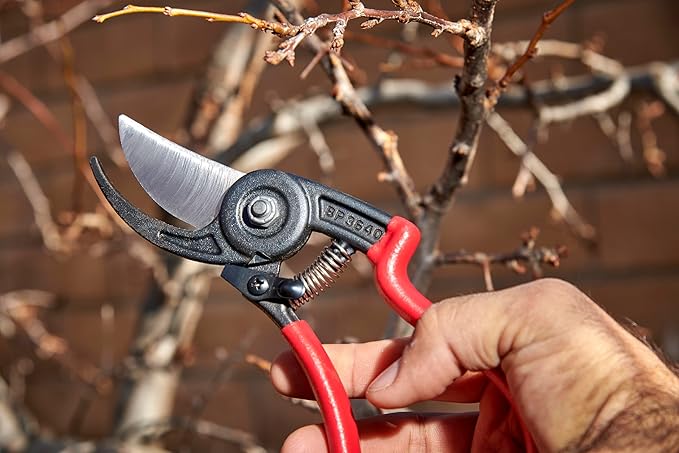 Corona BP 3640 Forged Steel ErgoACTION Angled Bypass Hand Pruner - 3/4 inch Cut Capacity Stem and Branch Garden Shears, Red