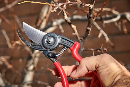 Corona BP 3640 Forged Steel ErgoACTION Angled Bypass Hand Pruner - 3/4 inch Cut Capacity Stem and Branch Garden Shears, Red