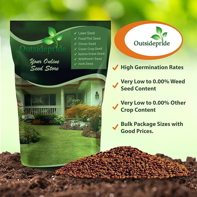 Outsidepride Perennial Red Clover Seeds - 5 lbs. Self-Seeding, Nitrocoated, Inoculated Clover Seeds for Lawn, Yard, Forage, Pasture, Hay, Nitrogen Fixation, Soil Improvement & Crop Rotation Programs