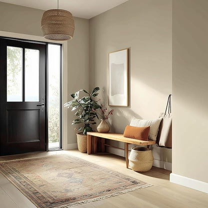 EVOLVE Paint & Primer: Environment-friendly, Low Sheen with One-coat Coverage for Interior & Exterior surfaces (Vanilla White, 5-Gallon)